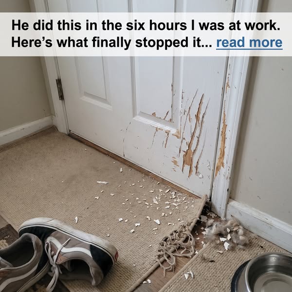 It Was Never the Door