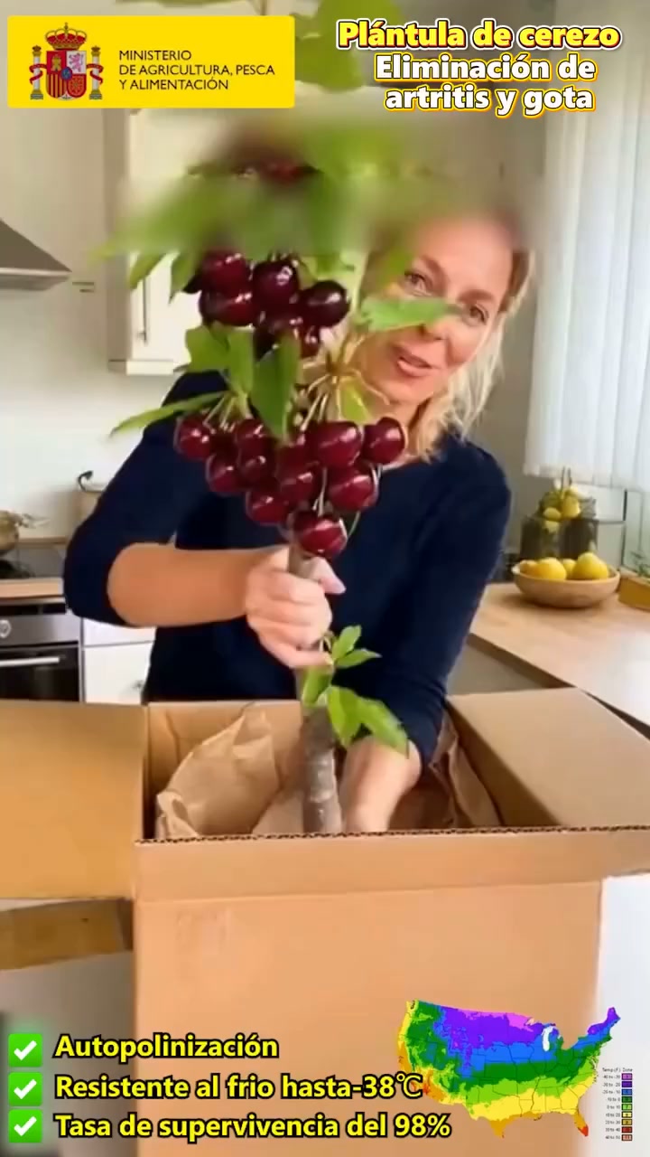 Anúncio de Hmaiyyj 3