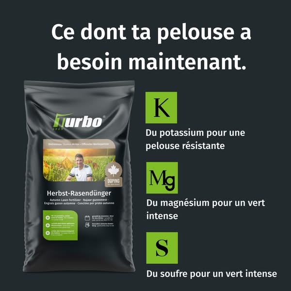 Sauver son gazon après l'été