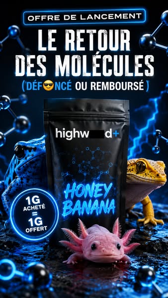 Tout doit disparaître