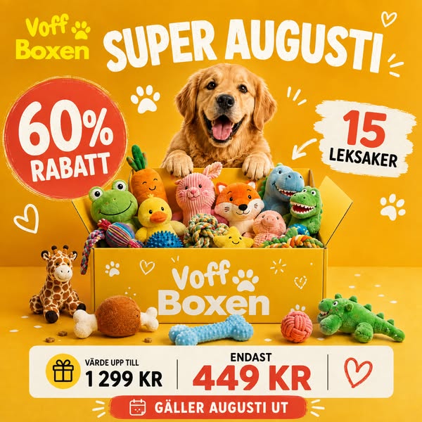 15 hundleksaker för endast 449 kr!