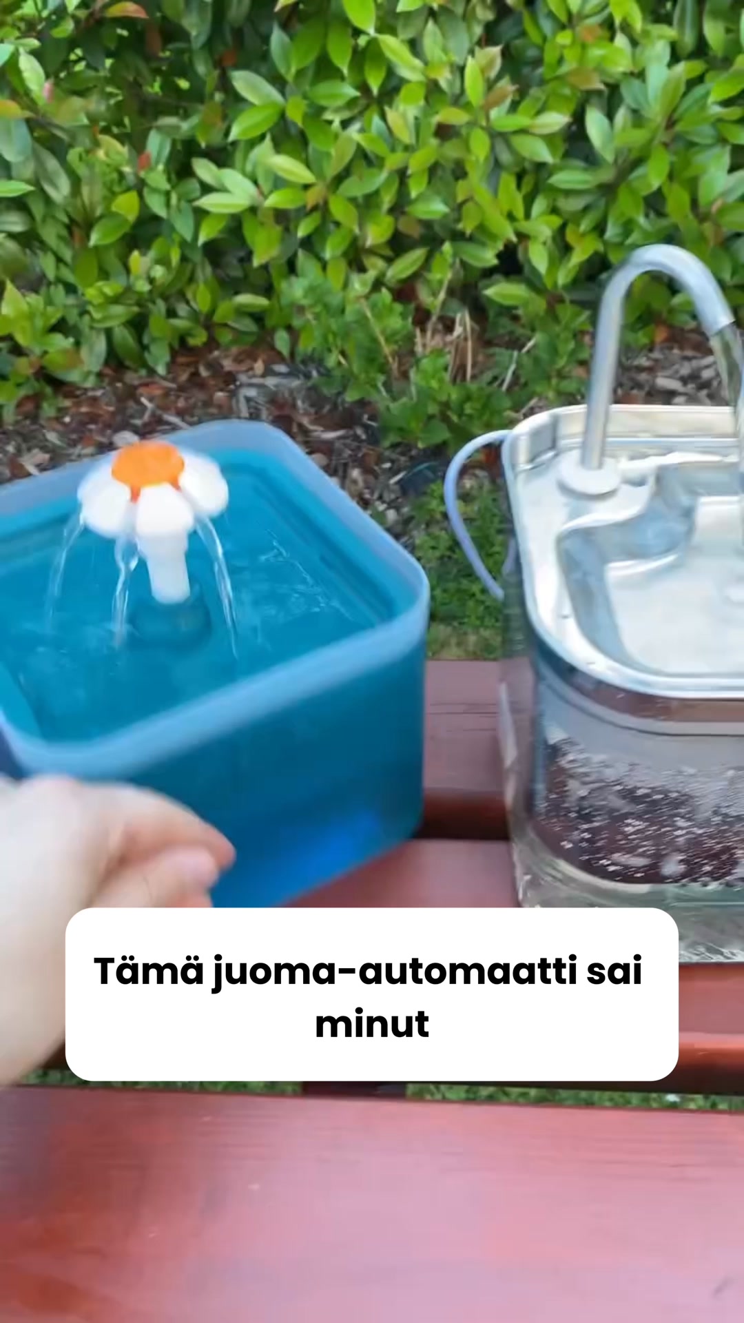 Saat 50% alennuksen + ilmaisen lahjan! Vain rajoitetun ajan!