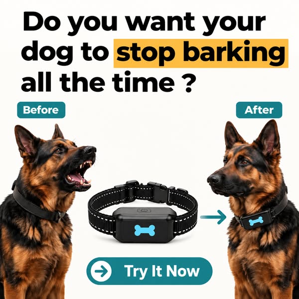 BUY 2 = GET 1 FREE - LIMITED TIME OFFER