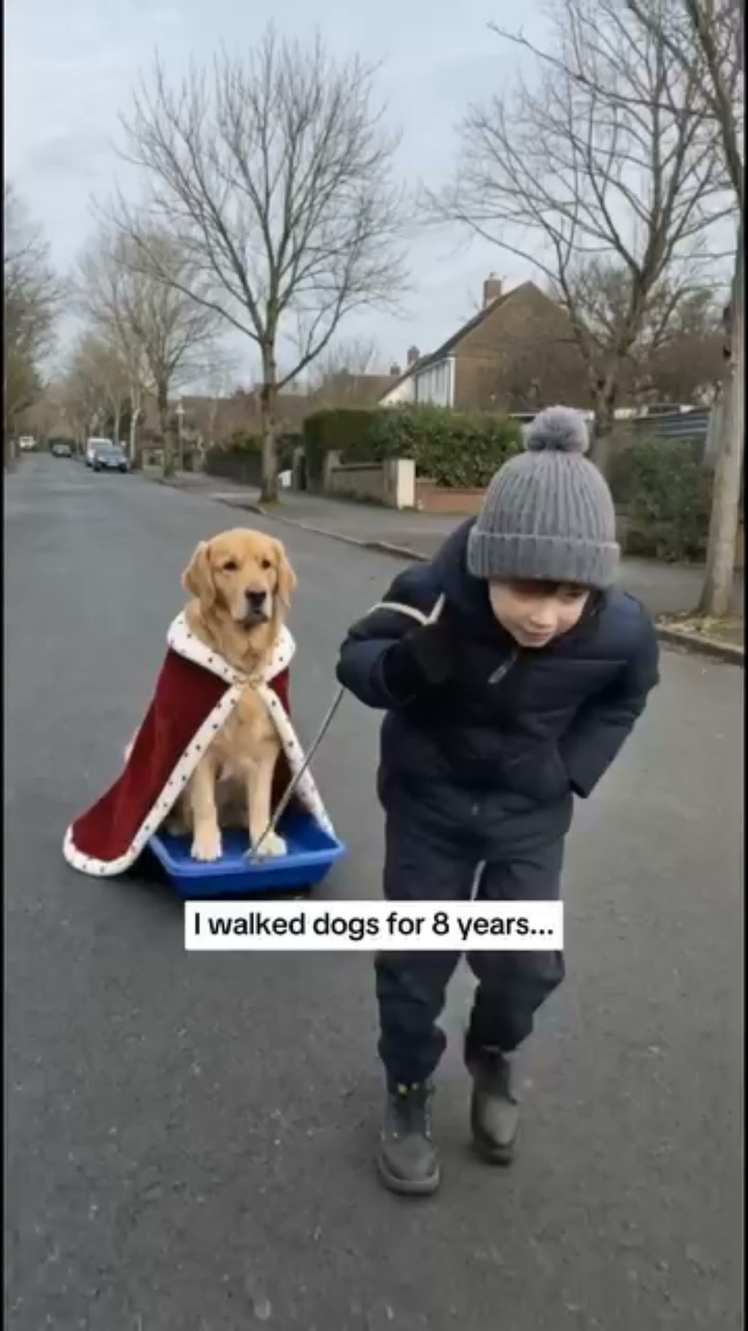 The No-Pull Harness That Turns Your Dog Around