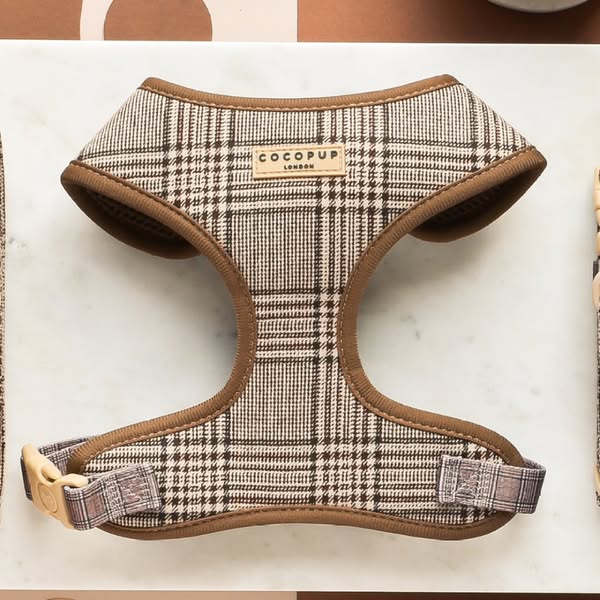 Pup Plaid Adjustable Neck HARNESS