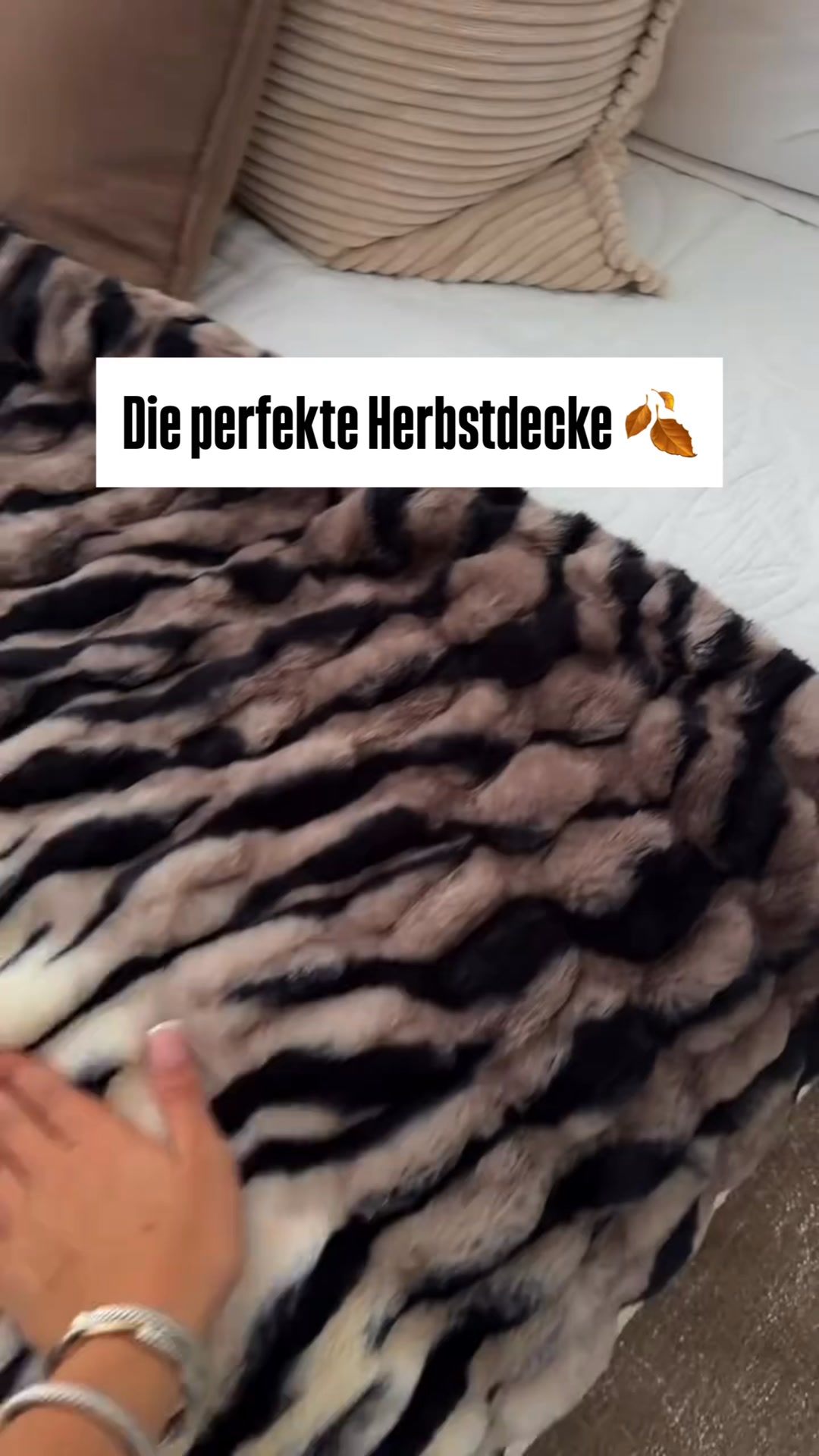 Träumer Decke