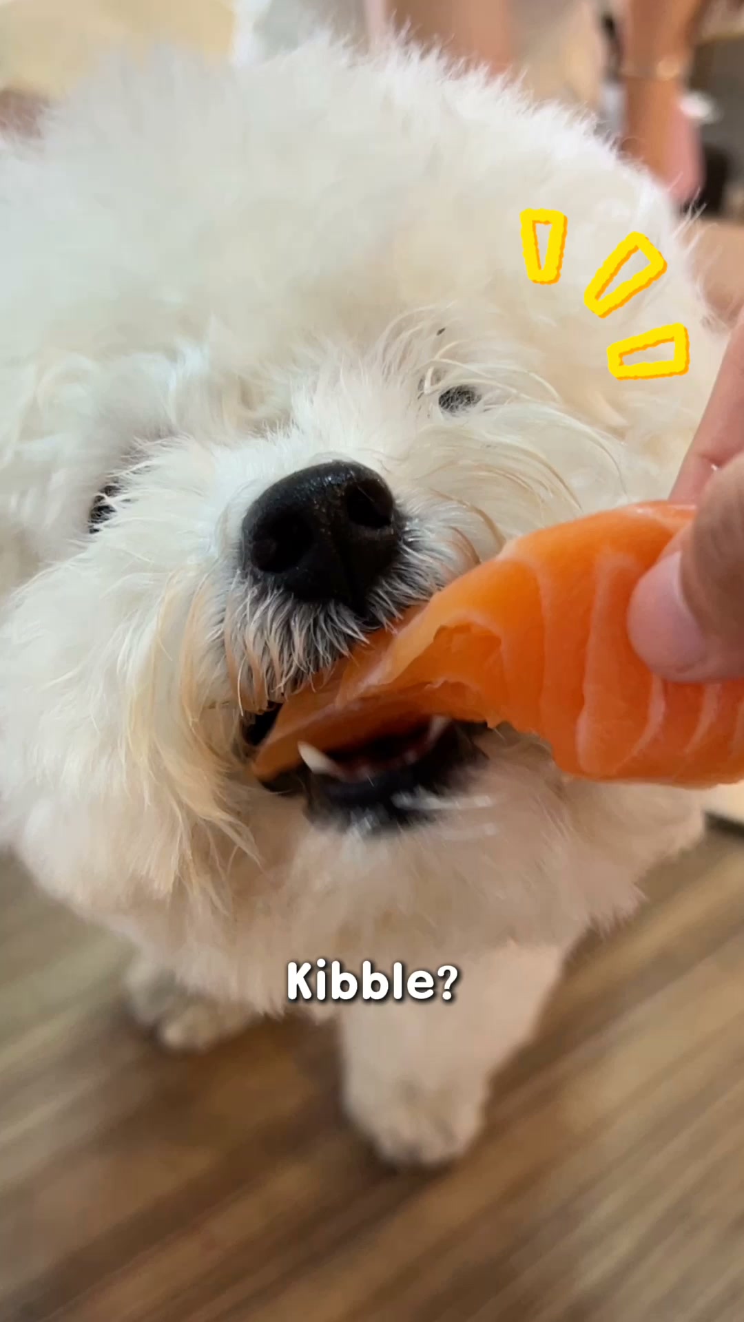 A Mealtime Game Changer