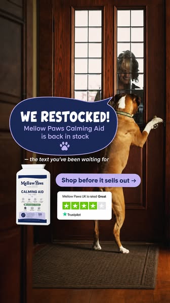 Free Next Day Delivery