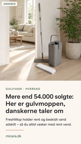 Mere end 54.000 solgte Freshmops