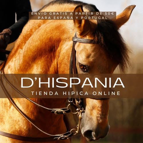 Ofertas Zaldi - Sillas, Cabezadas y Accesorios Ecuestres con Descuento | D'Hispania
