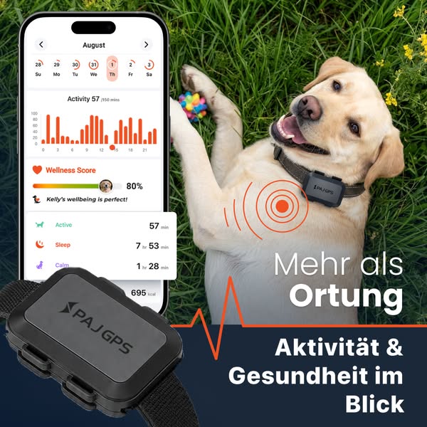 GPS Tracker mit 24/7 Support