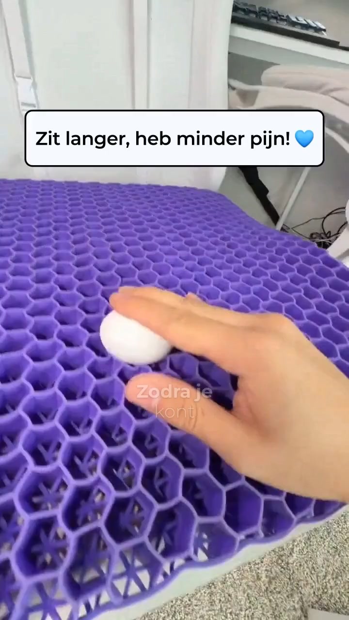 Jouw Perfecte Zitgenoot!