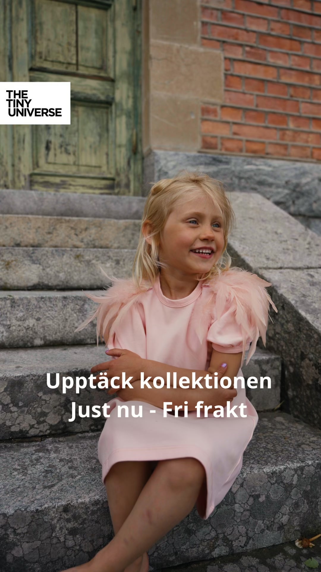 Fri frakt på hela kollektionen
