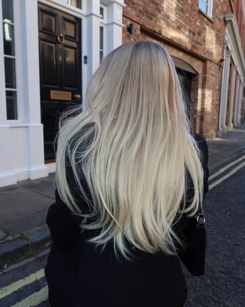 Hairvivi