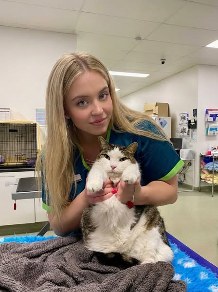Why World Record Cats Live To 27