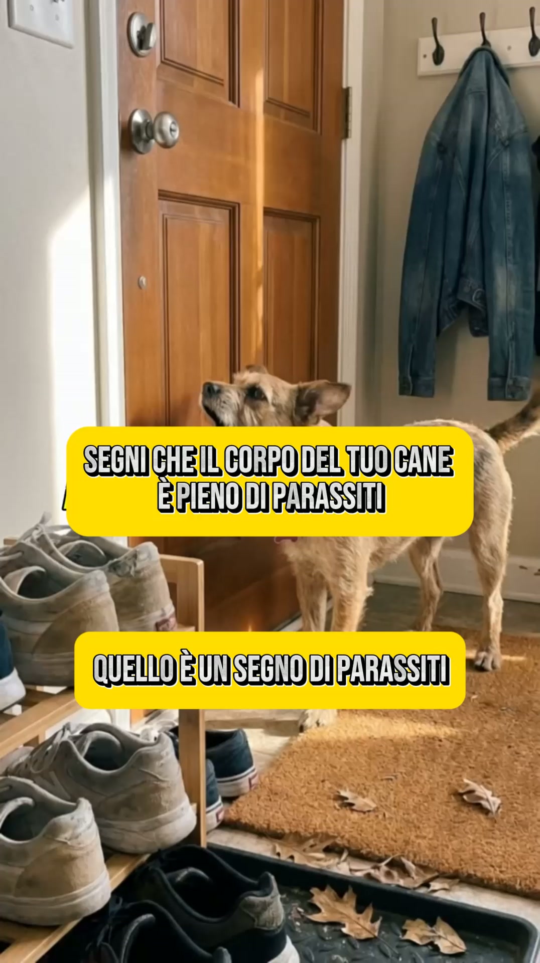 Non sono cattive abitudini. Sono Parassiti.