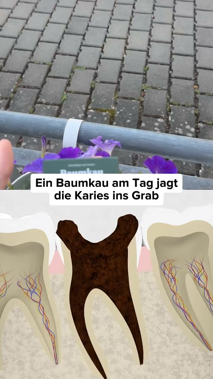 HEUTE: Kostenloser Versand