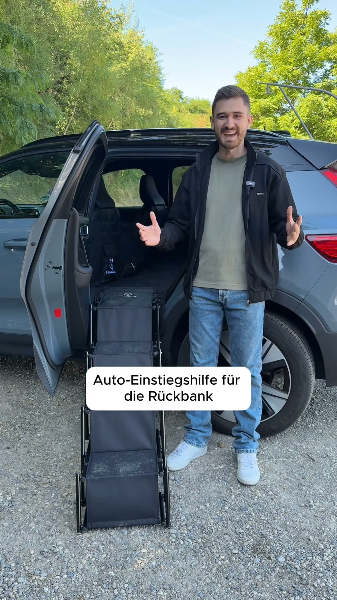 Endlich eine Hundetreppe für die Rückbank