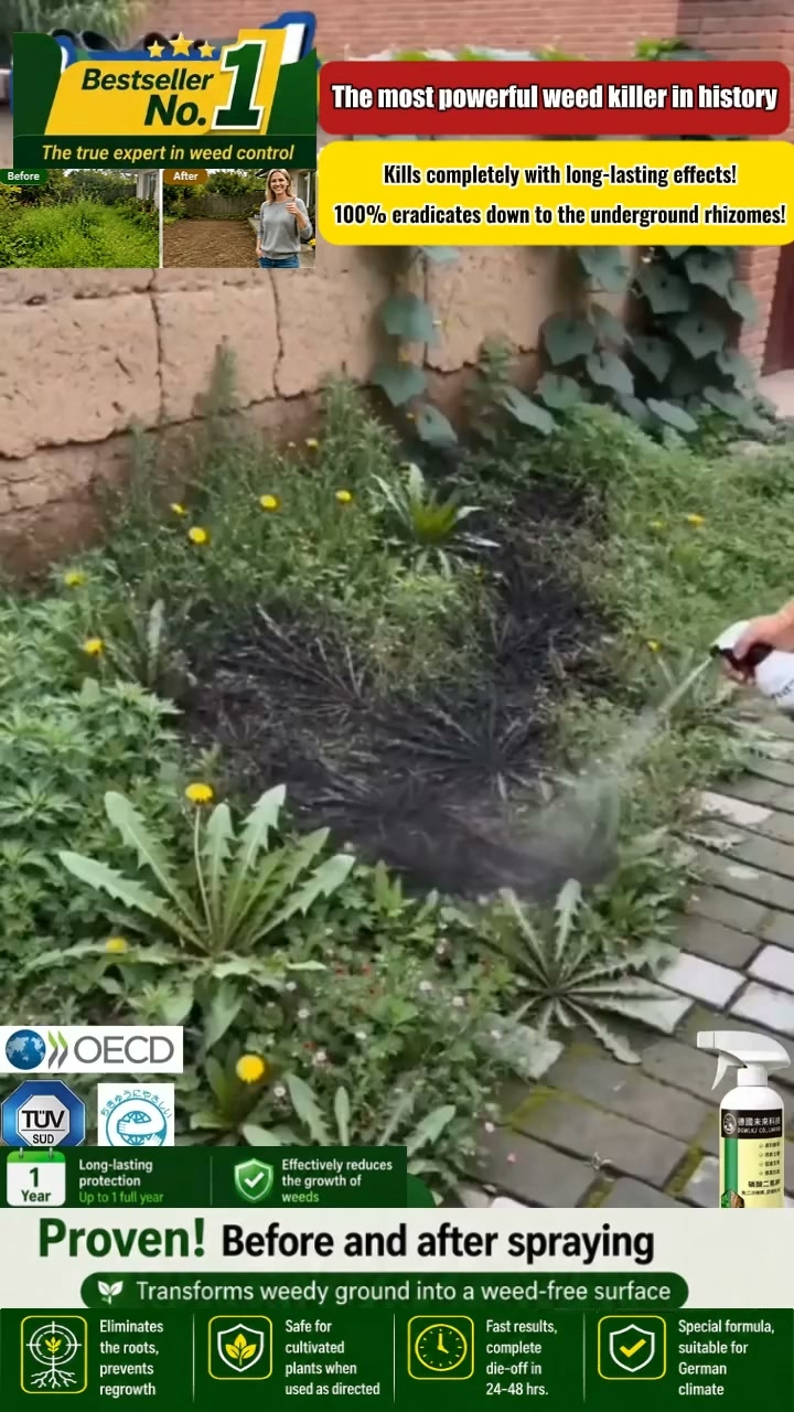 Weed & Bamboo Killer – The End of Invasive Roots