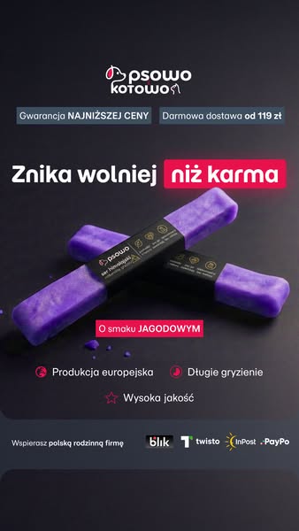 Kup teraz ser himalajski dla psa