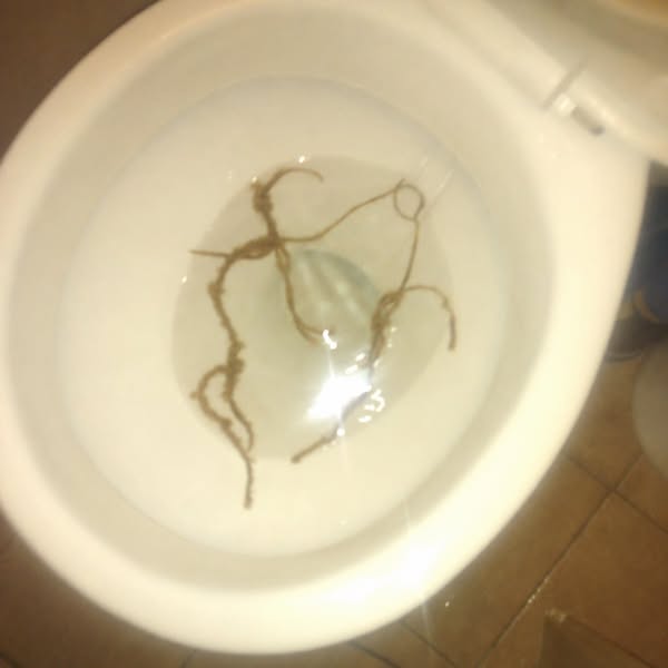 7 Doctors Missed This For 19 Months