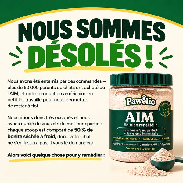 PAWÉLIE Profitez de 50 % de réduction + livraison gratuite ! Rejoignez plus de 50 000 propriétaires de chats dont les compagnons viv