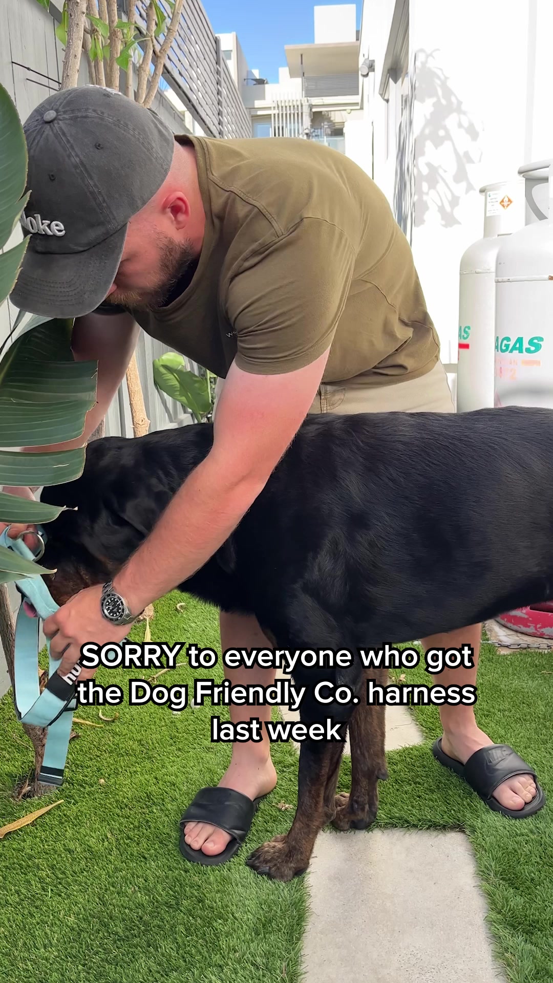 Rated #1 By Dog Owners