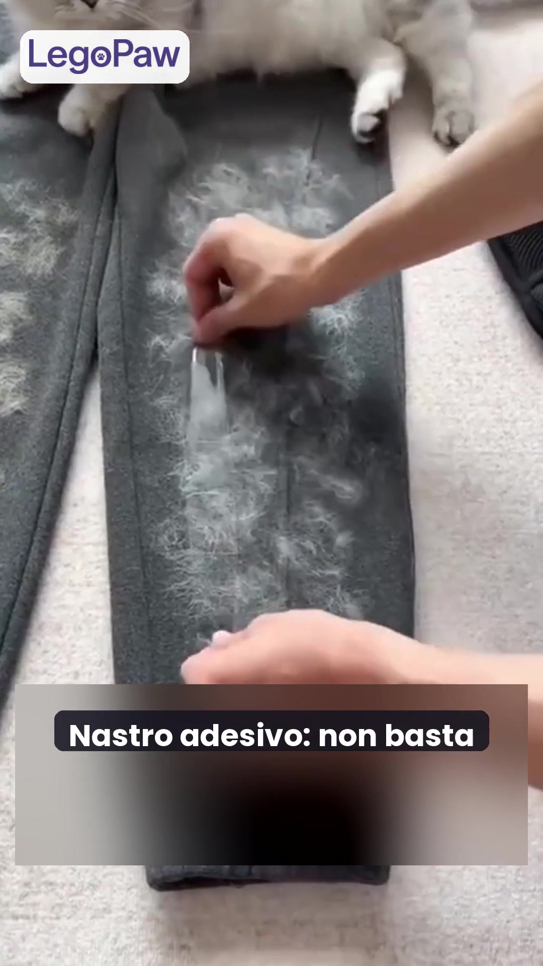 Basta rulli adesivi. Per sempre.