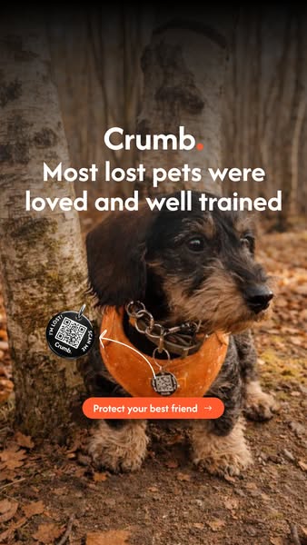 Trusted By Over 600,000 Pet Parents