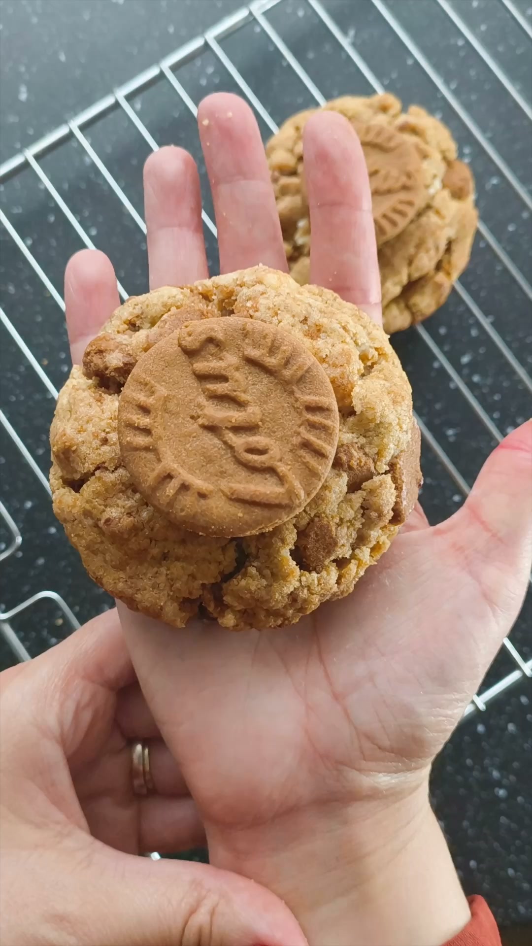 Luna Fusion Bites