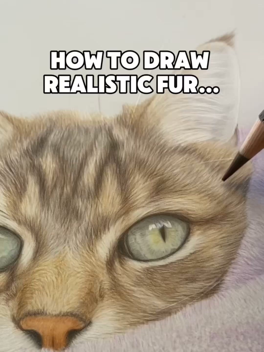 The Colour Recipes Behind 95% of My Pet Portraits