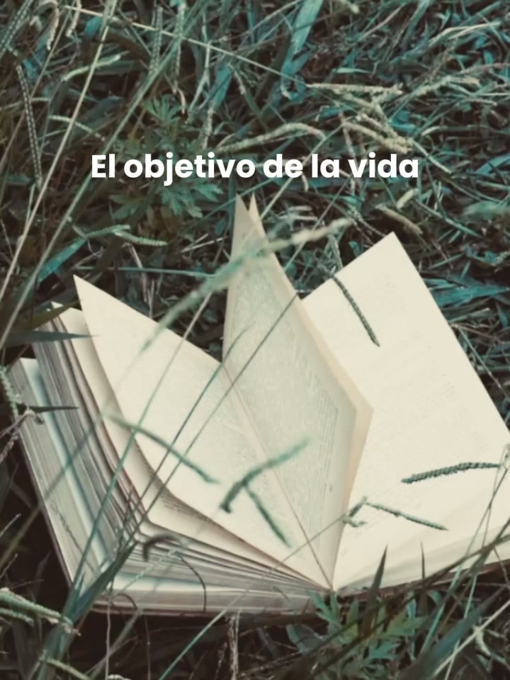 Una reflexión cada día en tu correo