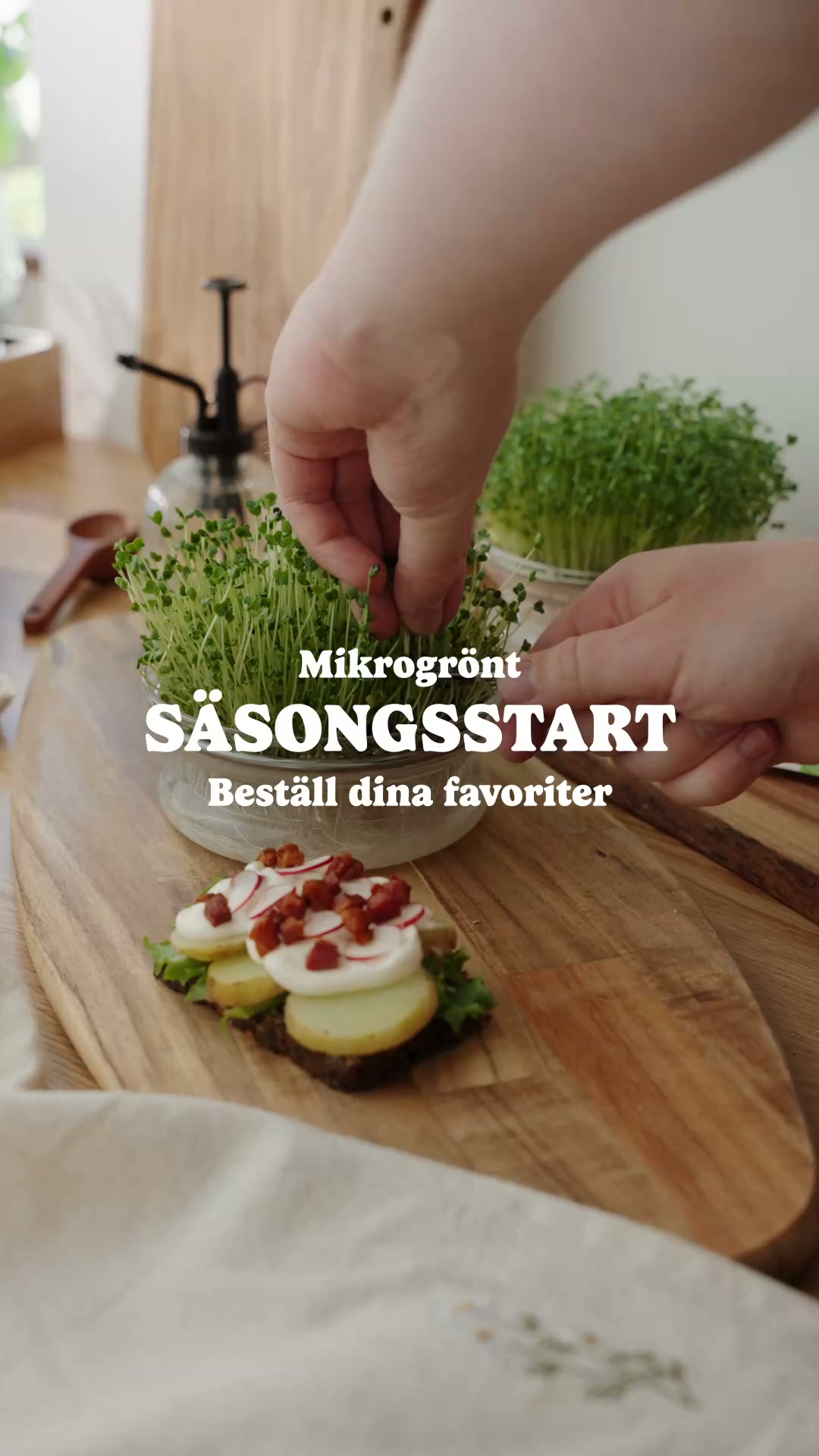 Microgreens-säsongen är igång!