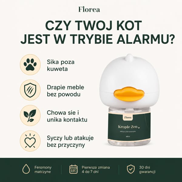 Pierwsza zmiana już po 4-7 dniach
