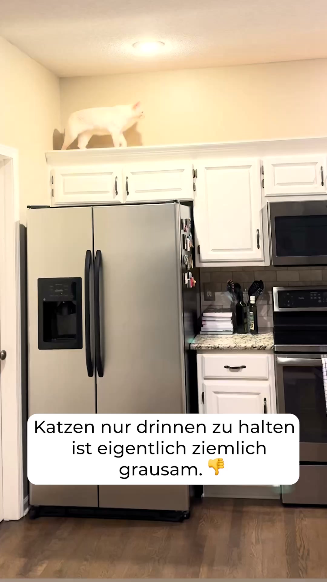 1+1 Neukunden Angebot