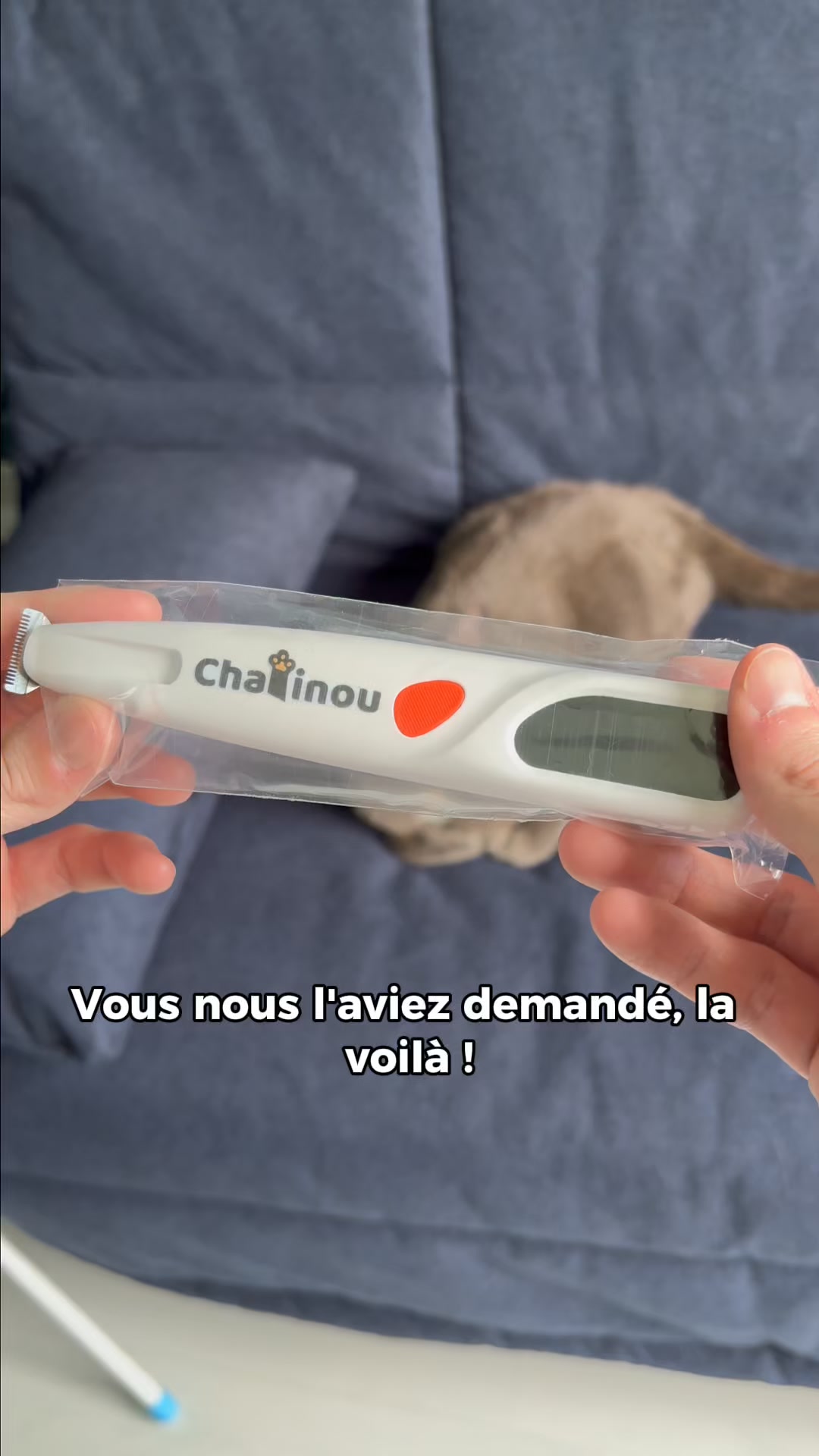 Je prends soin de mon minou