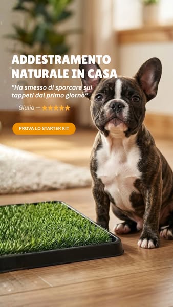 Provalo, zero addestramento