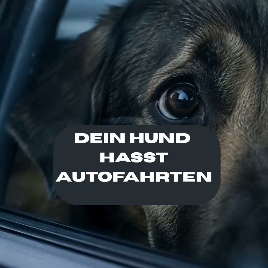 Ruhe vor der Fahrt — in 30 Sekunden