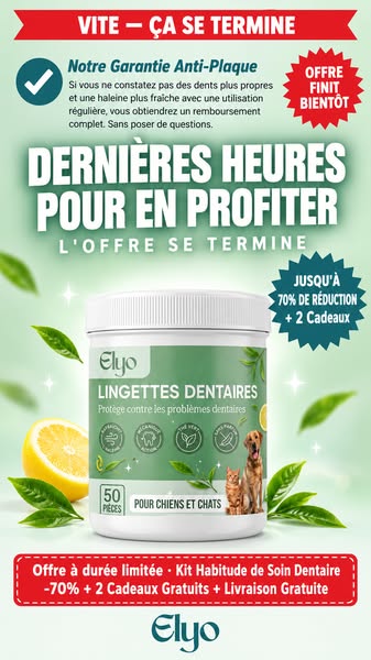 Offrez à votre chien une vie plus saine et plus heureuse
