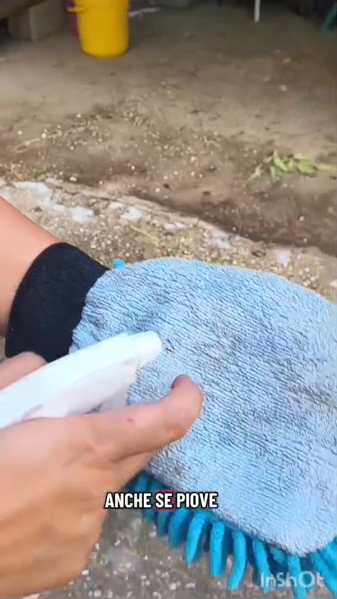 Il tuo cavallo ha lesioni, croste o infezioni batteriche