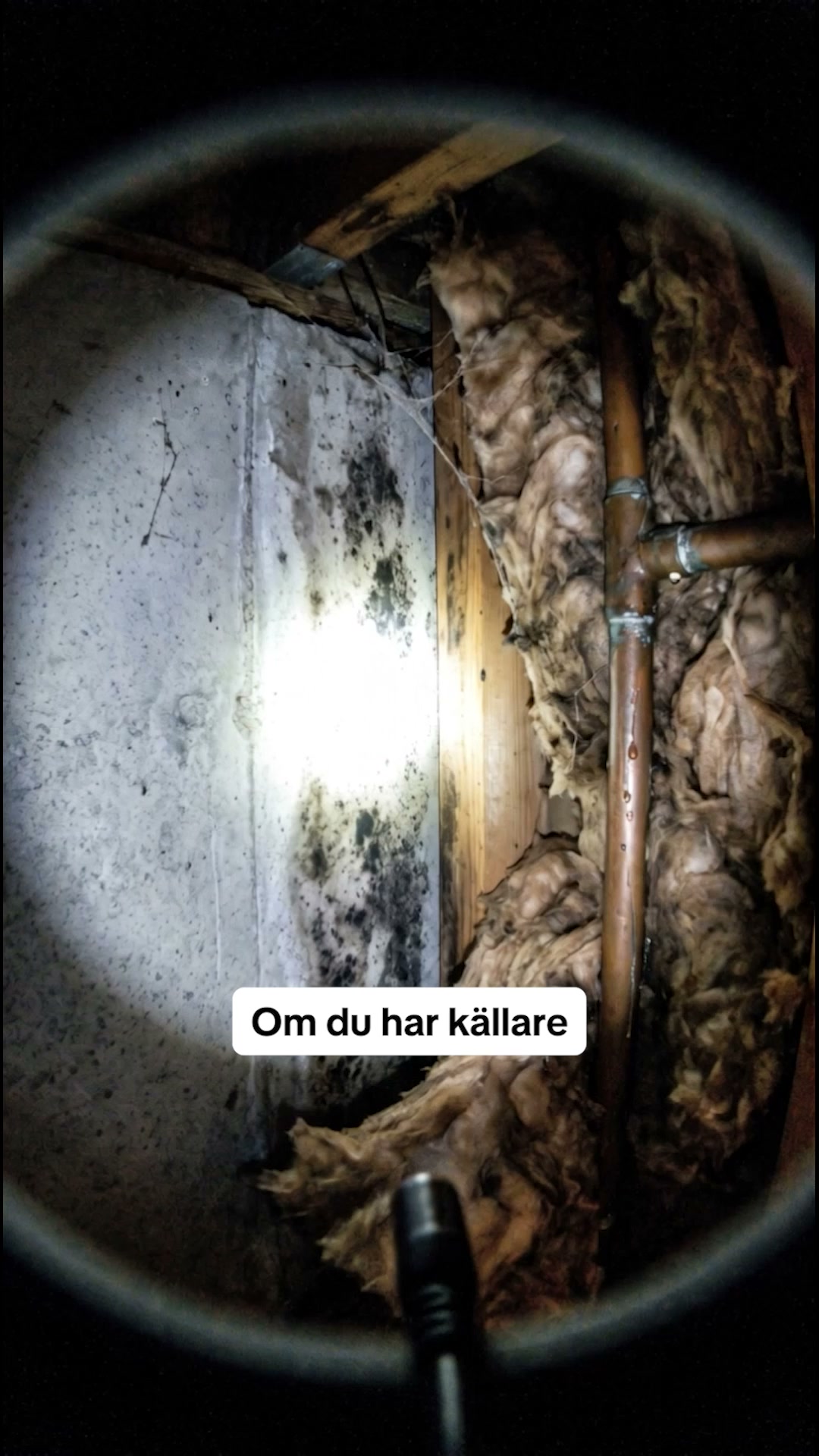 Testa helt riskfritt i 30 dagar