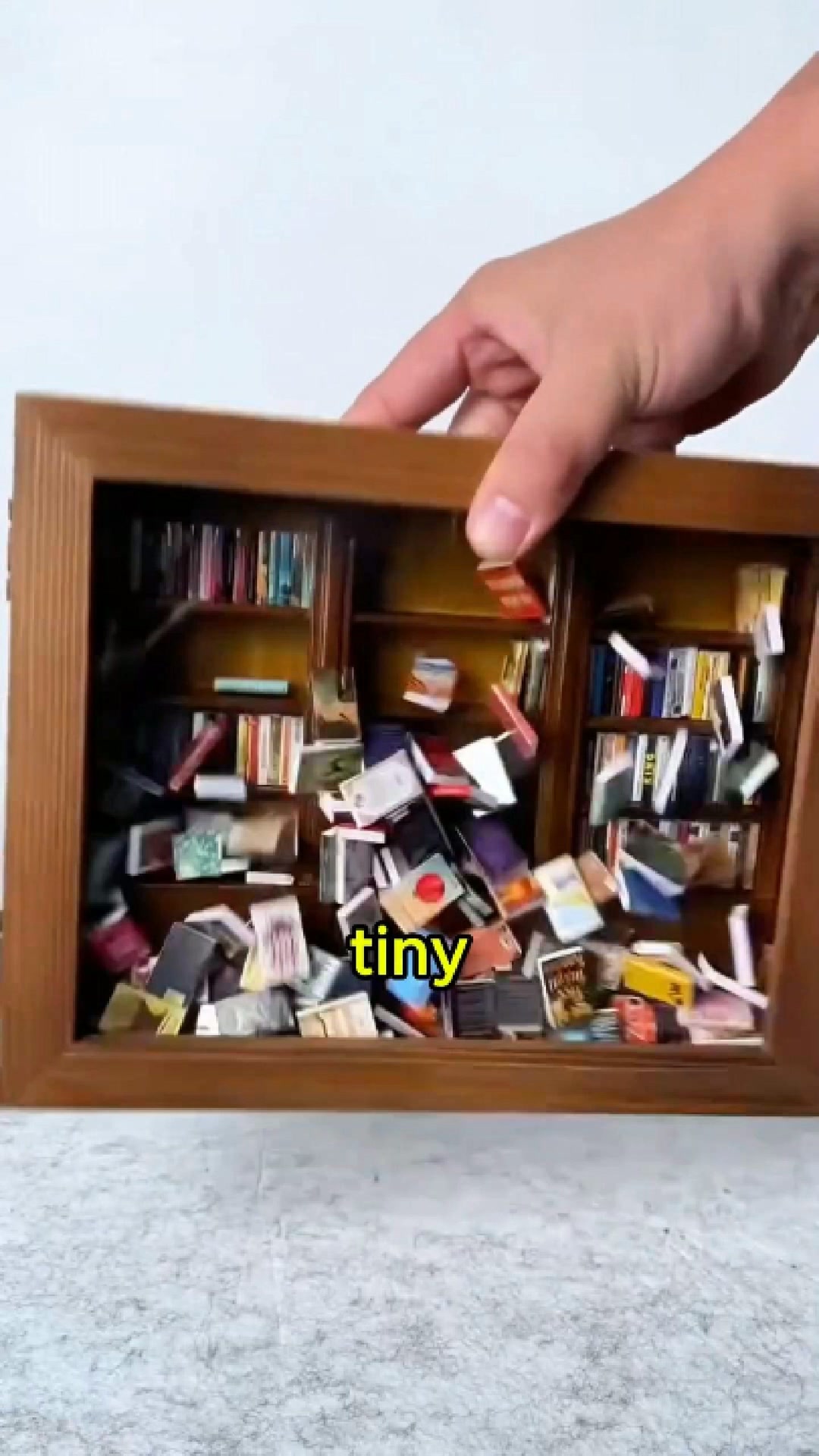Anxiety Bookshelf Miniature Library