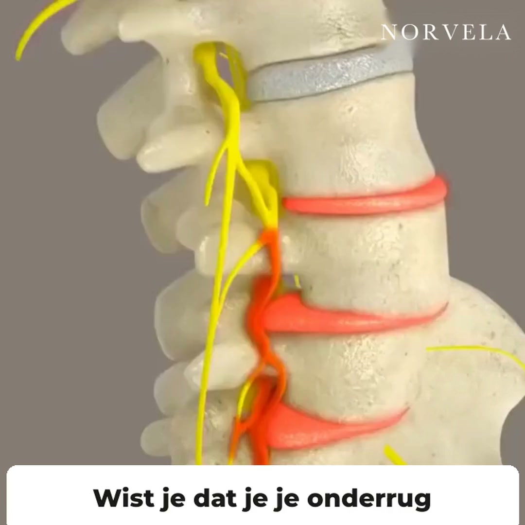 40% korting – Geef je onderrug weer ruimte