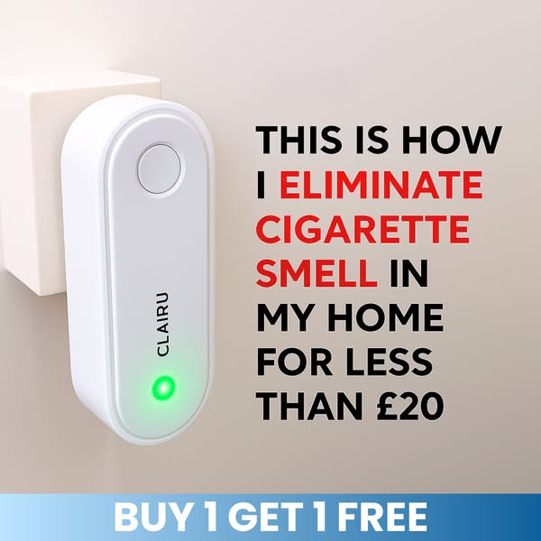 Smelly House? This Changed Everything