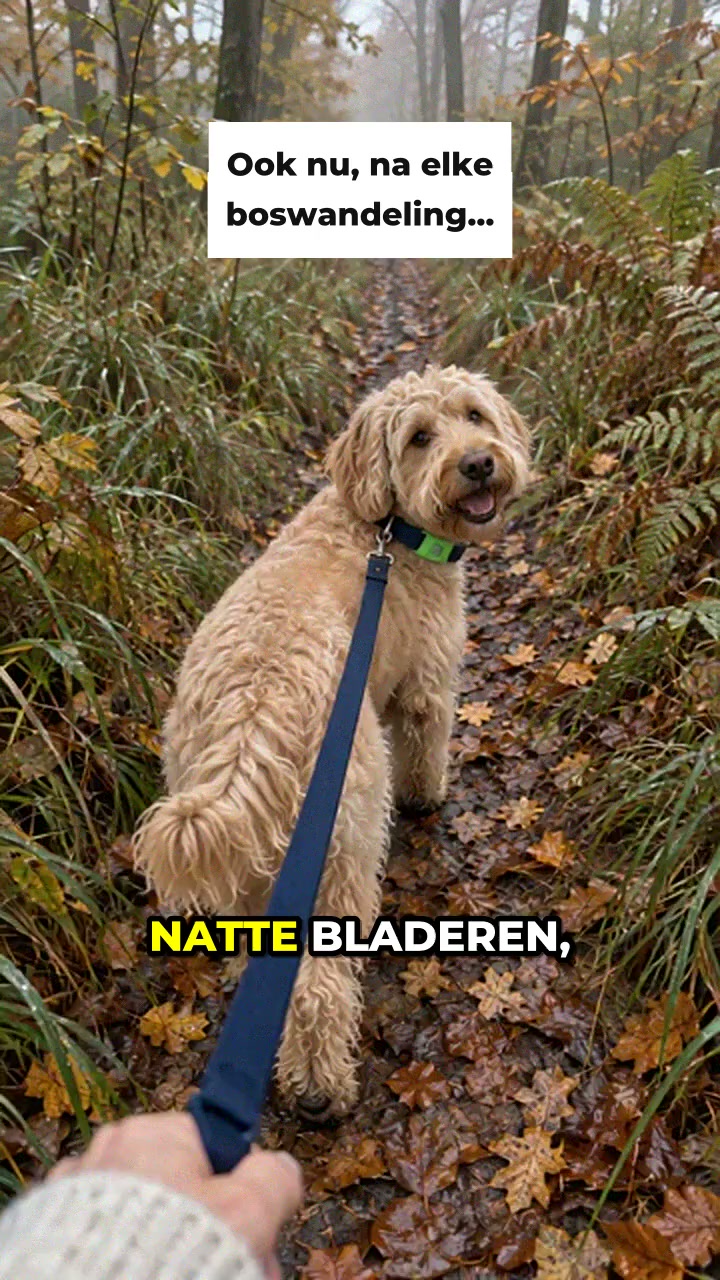Geef je hond en jezelf rust, zonder chemische troep