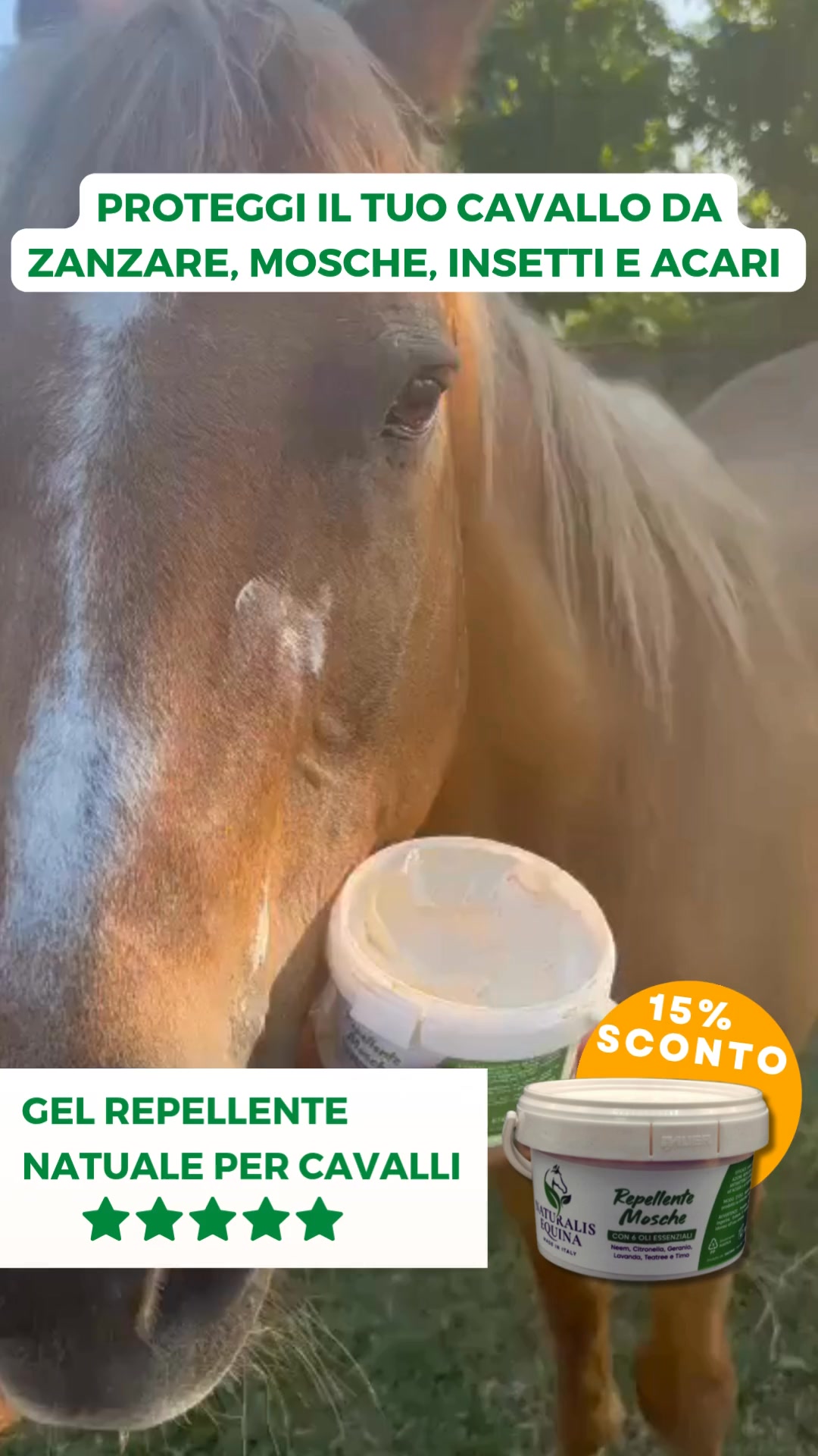 Gel anti-mosche