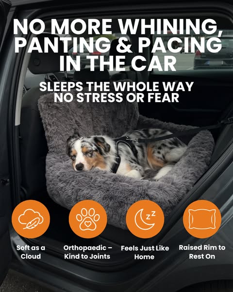 Trusted by 30,000+ dog owners