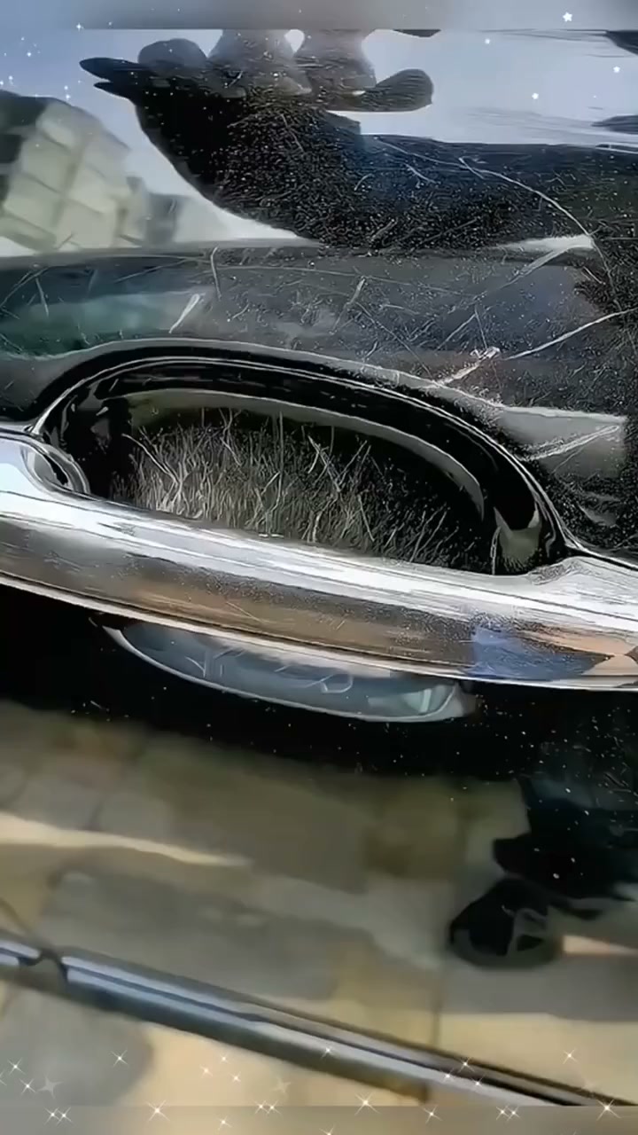 Anúncio de Gadgetspeurder.nl