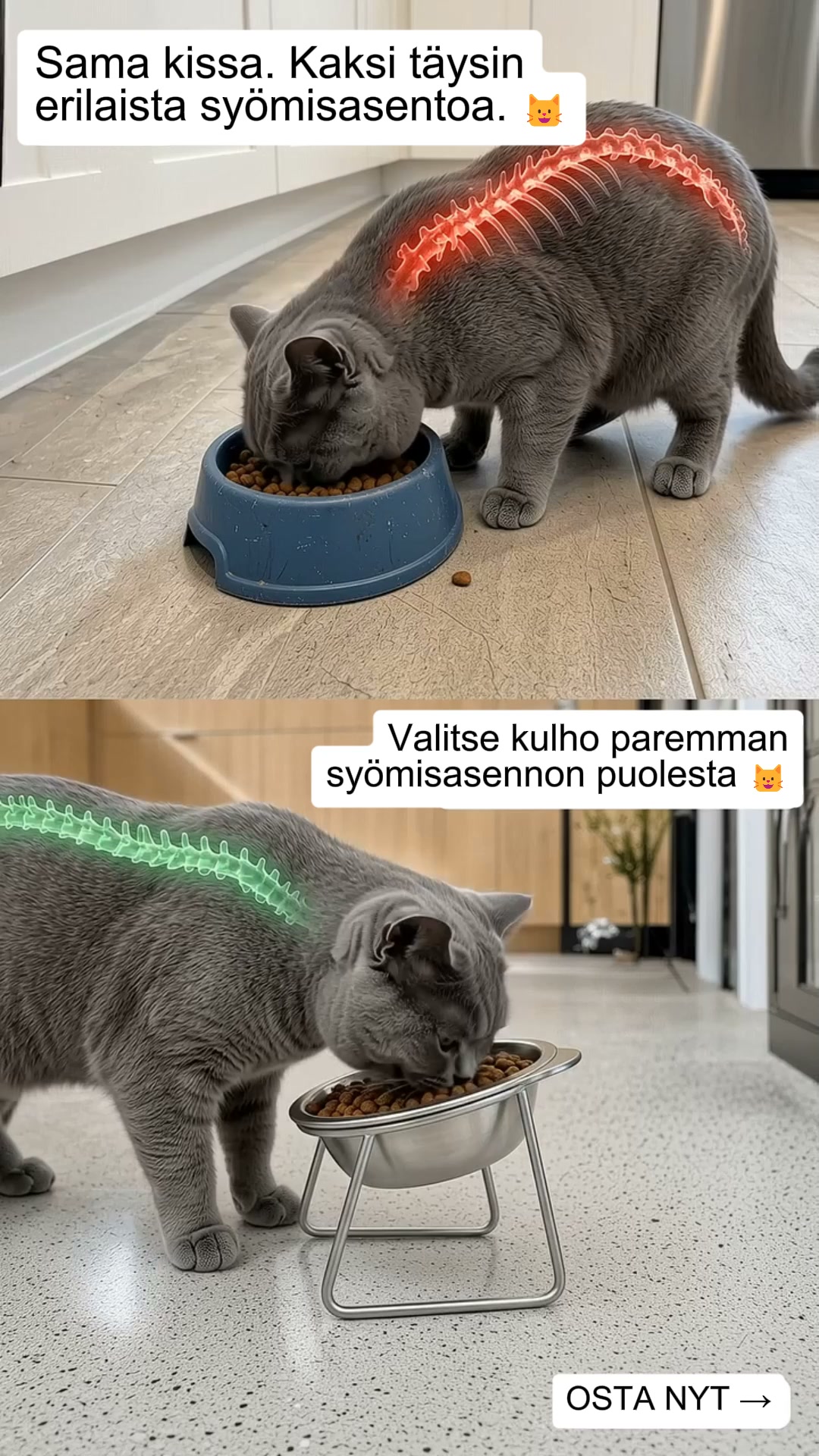 Ergonominen 15° kulho kissoille
