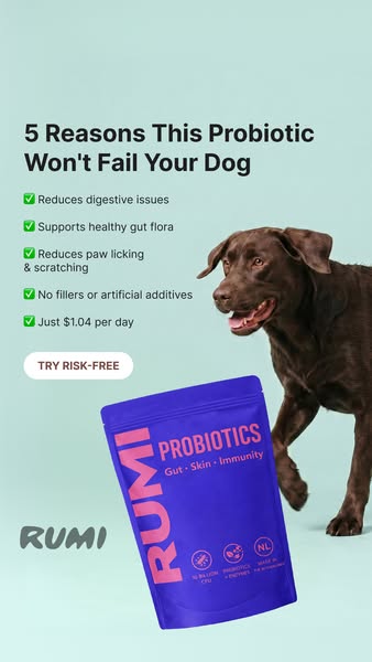 If your dog does this after eating, it's not the food